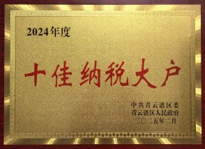 十佳纳税大户